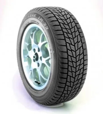 Bridgestone Blizzak LM22