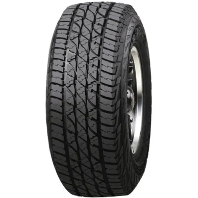 Accelera Omikron A/T