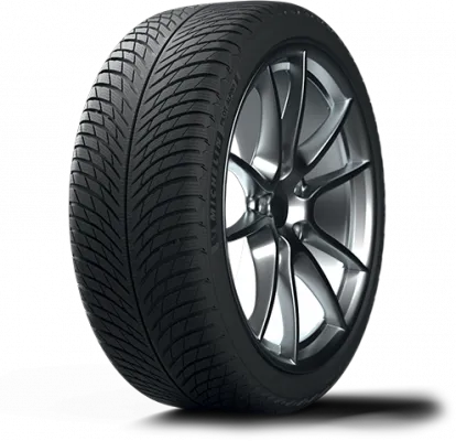 Michelin Pilot Alpin 5