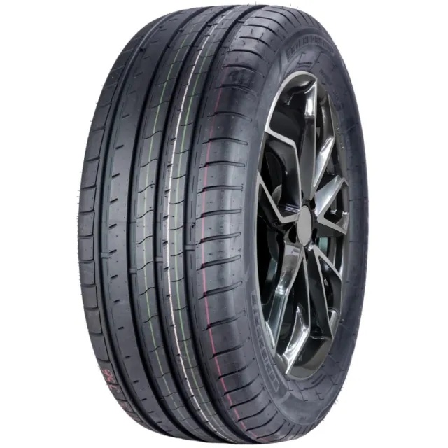 Windforce Catchfors UHP PRO