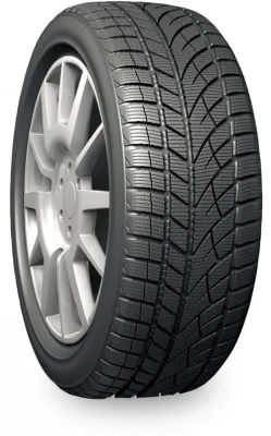 Evergreen Winter EW66