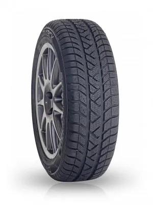 Dmack WinterSafe